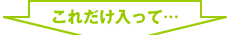 これだけ入って、お得なサービス価格